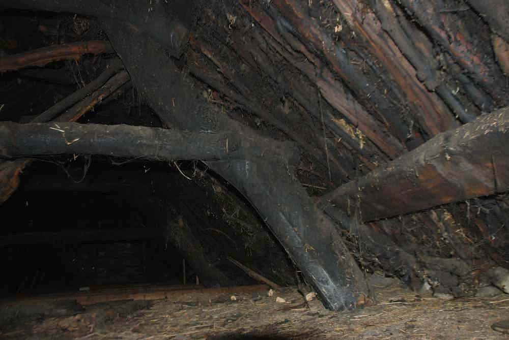 traditional roof timbers